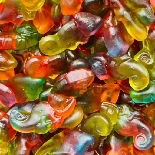 Caméléons